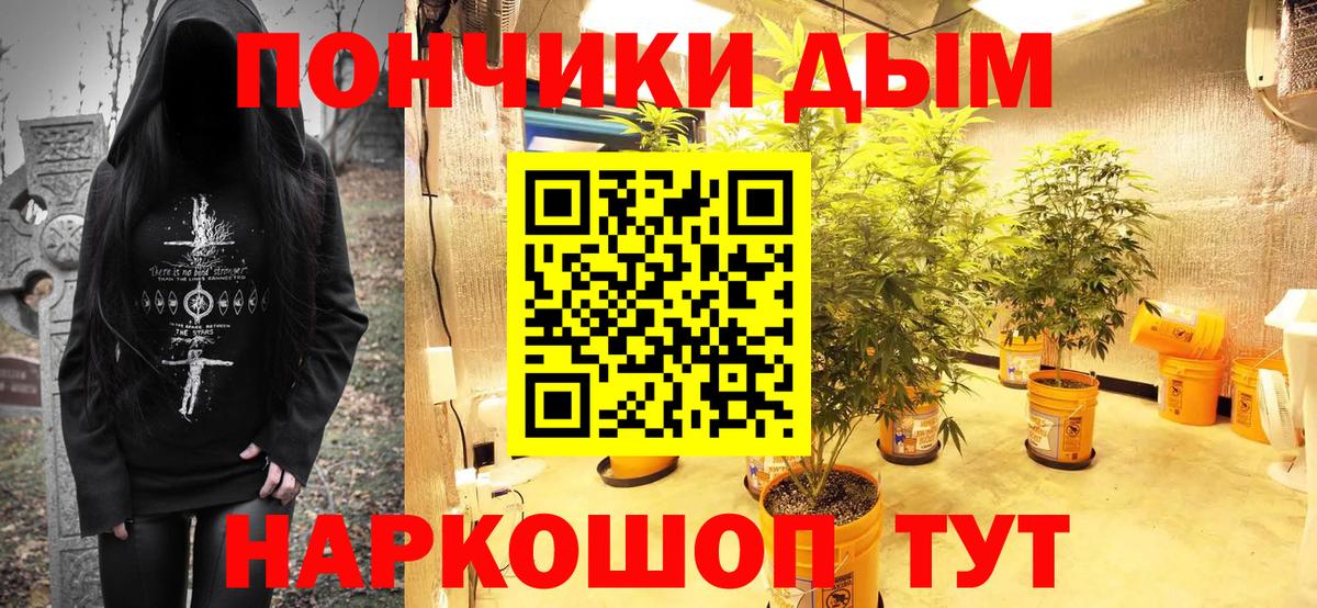 Конопля MAZAR  Каннабис конопля  Сосновый Бор  Вход с VPN  Канабис планчик  Бошки марихуана гибрид 
